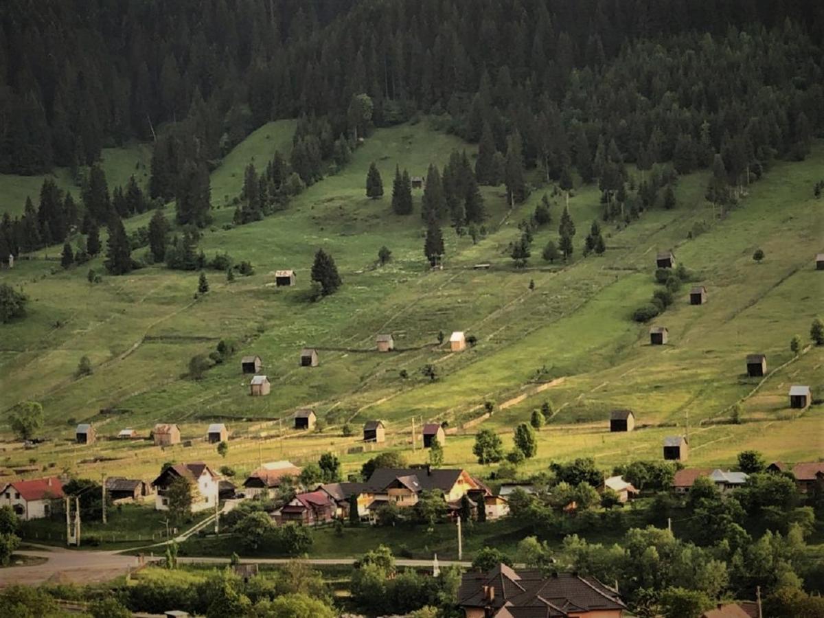 Pensiunea Casa-Stefanel Садова Экстерьер фото