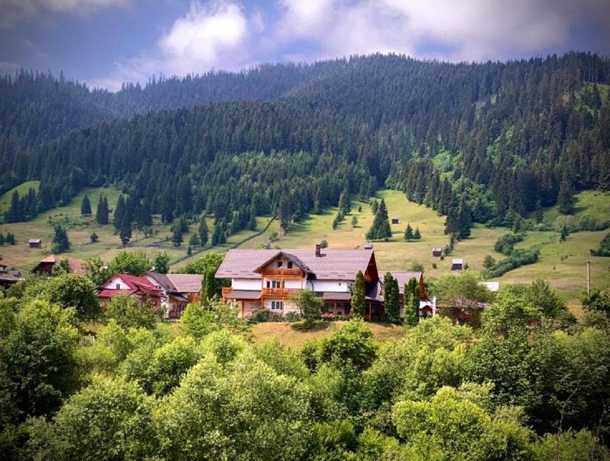 Pensiunea Casa-Stefanel Садова Экстерьер фото